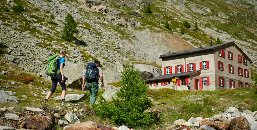 SWISS 05-2025 Saas-Fee Saastal Wandern-Almagellerhoehenweg-Erlebnisweg-2021-0047